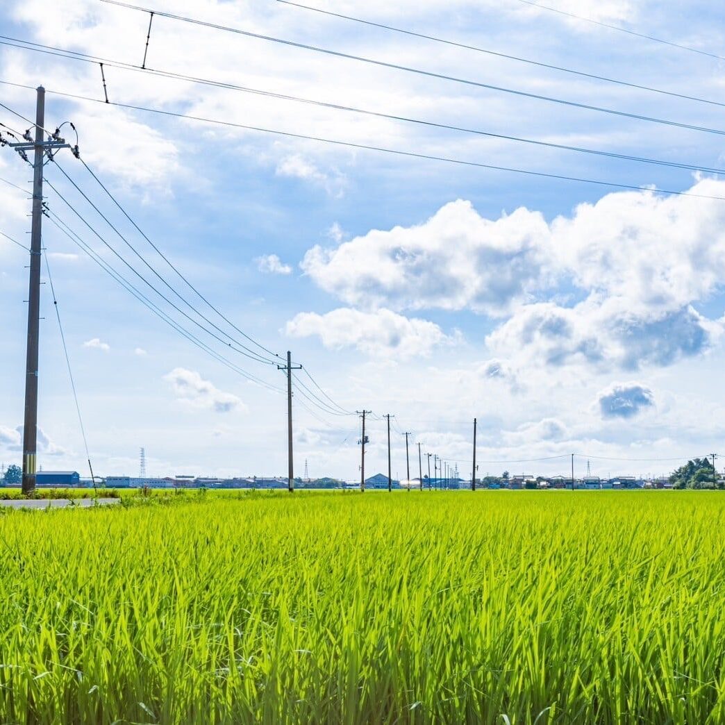 自然に囲まれた空間